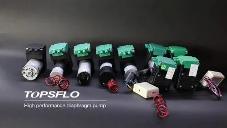 High Performance China Micro Vacuum Pump/ Micro Air Pump/Brush DC Diaphragm Pressure Vacuum Pump/Mini Compressor Air Pump Factory